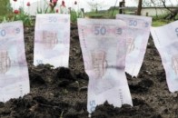 Волинь недоотримала за оренду землі понад 1 мільйон гривень