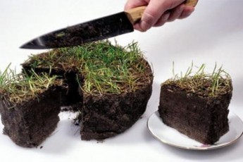 Романюку відомо, що у луцьких шкіл намагались «відхопити» землю, однак хто - мовчить