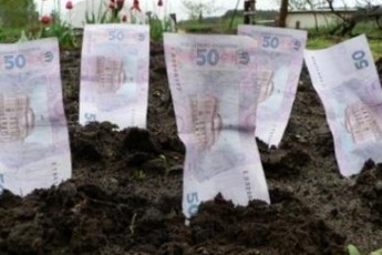 У цьому році волиняни орендували понад 176 тисяч гектарів земельних паїв