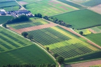 Волинські РДА хотіли незаконно відвести 60 гектарів землі