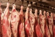 Карпюк закликав усі служби не допустити потрапляння зараженого м’яса на територію області