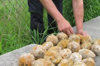 На Волині в селі Лище виявили 20 осколочних гранат