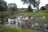 На Волині затопило 2780 гектарів сільськогосподарських угідь