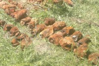 На Волині піротехніки знешкодили 58 боєприпасів часів війни