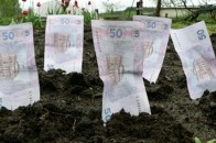 На Волині підприємство через суд хоче змінити цільове призначення ділянки, аби платити менше за оренду