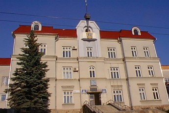 Місце «Партії регіонів» у Луцькій міській раді хоче зайняти «Батьківщина»