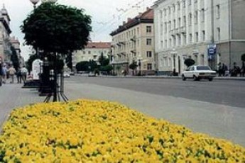 У Луцьку директор «Зеленого господарства» не знає у скільки обходиться місту впорядкування клумб