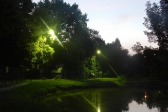 У Луцьку «освітили» звіринець