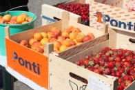 У Луцьку розташувався черговий ярмарок сільськогосподарської продукції поблизу ТЦ «Глобус»