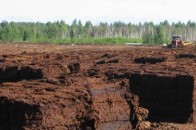 Слабенко не зміг відвоювати у кіпріотів торфовища і програв суд Волиньраді