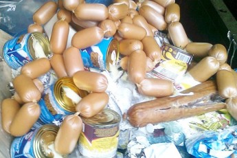 На Волині готуються протидіяти африканській чумі у свиней