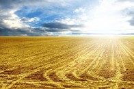 Волинські землевпорядники провели державну експертизу на майже 400 об’єктах