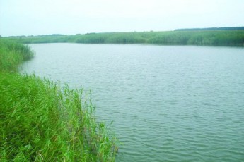 На Волині для господарств зменшиться плата за оренду ставків