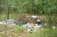 На Волині за засмічення території сільради порушили кримінальну справу