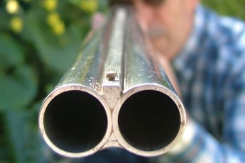 У місті Рожище на Волині завівся живодер, який відстрілює сусідських тварин та прикривається статусом свого сина-ДАІшника