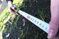 Землевпорядники Волині зареєстрували більше 17 тисяч земельних наділів