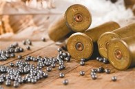 У Луцьку військового пенсіонера мало не позбавили волі через те, що він зберігав бойові припаси