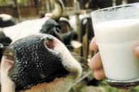Цьогоріч волинські агроформування продали власної продукції на майже 800 мільйонів гривень