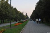 Центральний парк Луцька стає небезпечним для дітей, а комунальники про це вперше чують