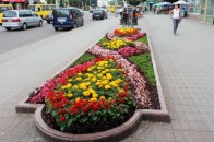 Луцька міська рада перевірила місцеві квітники