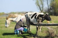 На Волині найменшу зарплату отримують фермери
