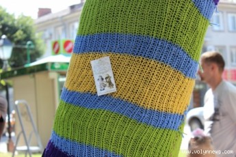 Мешканці Луцька обмотали дерева пряжею усіх кольорів веселки
