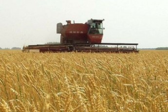 На Волині вже намолотили понад 400 тисяч тонн зернових