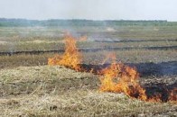 На Волині пожежа знищила 25 тонн сіна
