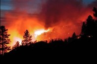 На Волині почастішали випадки виникнення пожеж у лісах та на торфовищах