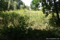 Парк 900-річчя Луцька заростає кущами та потопає в смітті