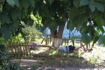 Двоє п'яних ночували під вікнами луцької журналістки