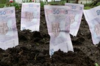 На Волині з благодійного фонду через суд стягують три з половиною тисячі гривень за оренду землі