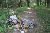 На Волині чоловік вирішив перетворити ліс у сміттєзвалище