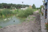 В одному з волинських міст посеред дороги викопали став