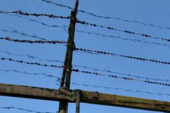 Психічнохворий чоловік убив свою вагітну дружину