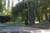 Дерево, яке після зливи повалилося у центральному парку Луцька, прибрали