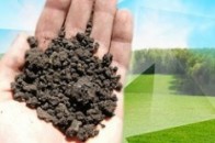 За перше півріччя 2013 року Держземагентство Волинської області надало адмінпослуг на 1,5 мільйона
