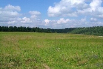Реєстрація земельних ділянок в Україні може стати безплатною