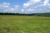 Реєстрація земельних ділянок в Україні може стати безплатною