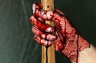 На Волині тракторист лопатою відгамселив подружжя