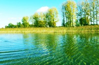 Перевищення вмісту важких металів не перевищує норми, - Держекоінспекція