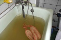 Мешканців Нововолинська досі турбує неякісна вода