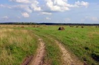 На Волині чоловіка, який пропав безвісти, знайшли мертвим