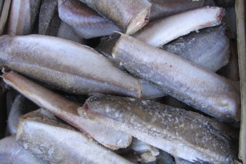 Ковельським школярам накупили 10 тонн хека