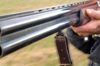 На Волині мисливці займаються браконьєрством та палять ліси