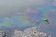 З Сапалаївки відкачали мастило, яке на днях витекло в річку
