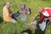 Волиняни незаконно виловлюють рибу, занесену до Червоної книги України