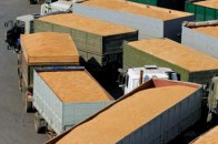 Із зернових культур через Ягодин за перше півріччя цього року найчастіше експортували кукурудзу