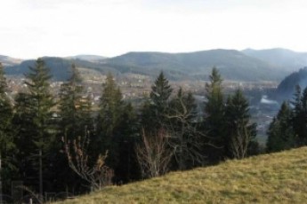 На Прикарпатті, впавши в ущелину, загинув чоловік