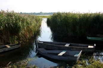 На Волині благодійний фонд незаконно використовував землю, - прокуратура